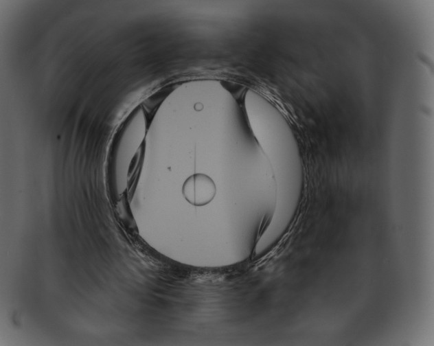 X0000091910340200710031023