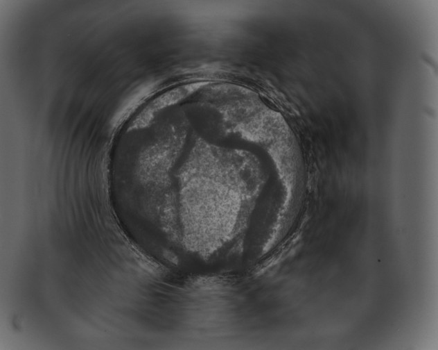 X0000091910341200710031023