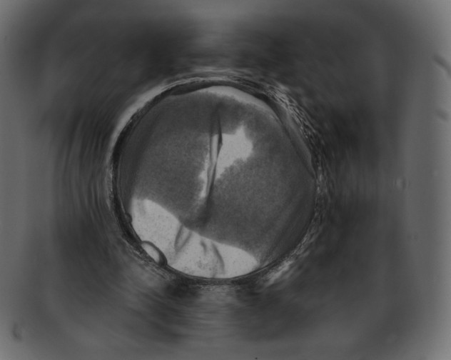 X0000091910342200710031023