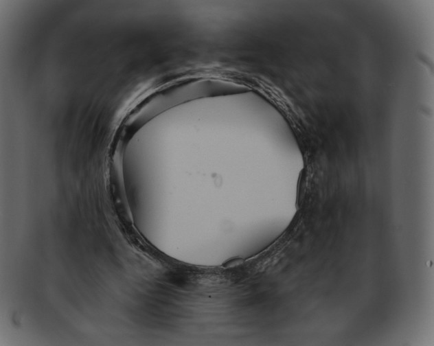 X0000091910344200710031023