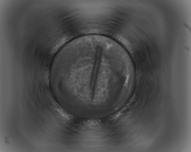 X0000091910345200710031023