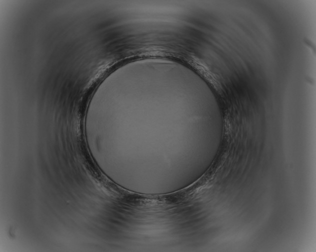 X0000091910347200710031023