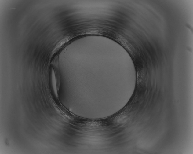 X0000091910349200710031023