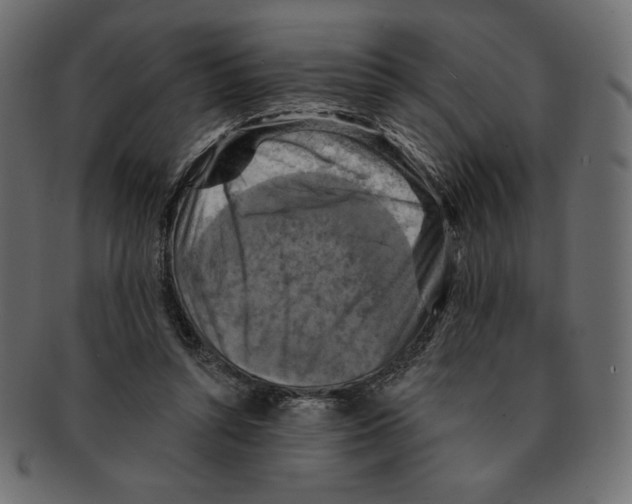 X0000091910352200710031023