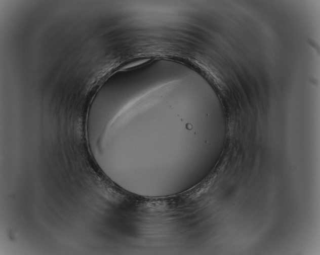 X0000091910353200710031023