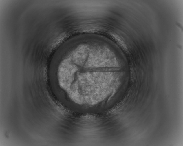 X0000091910354200710031023