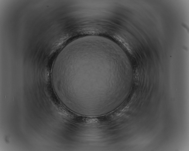 X0000091910355200710031023