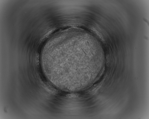 X0000091910356200710031023