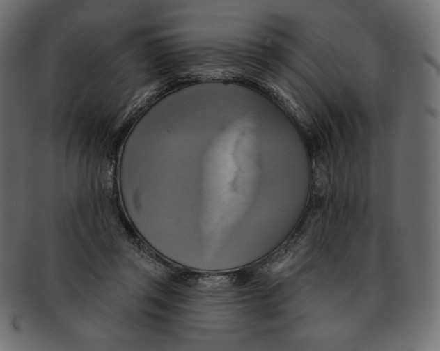 X0000091910357200710031023