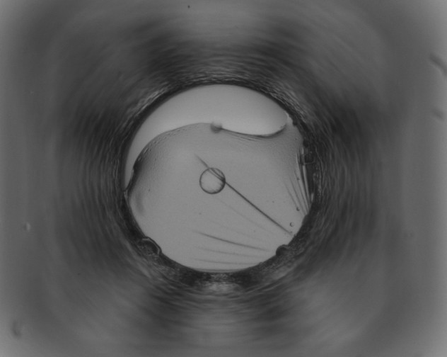 X0000091910360200710031023