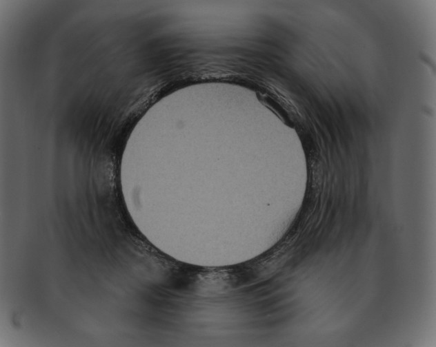 X0000091910362200710031023