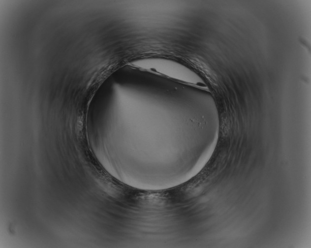 X0000091910365200710031023