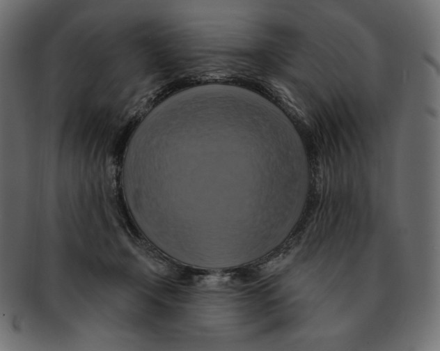 X0000091910366200710031023