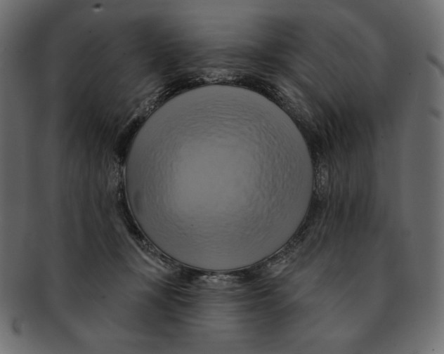 X0000091910367200710031023