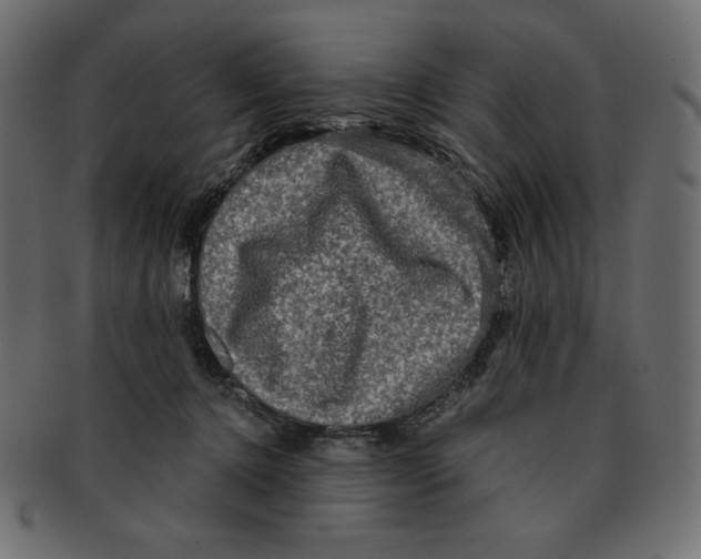 X0000091910368200710031023