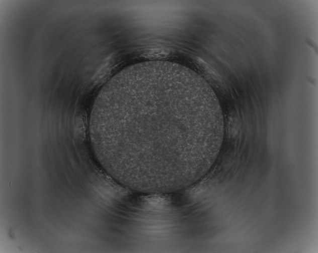 X0000091910370200710031023