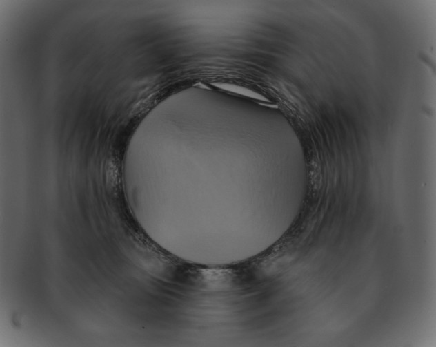 X0000091910371200710031023