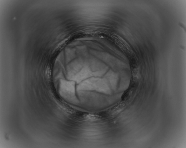 X0000091910372200710031023