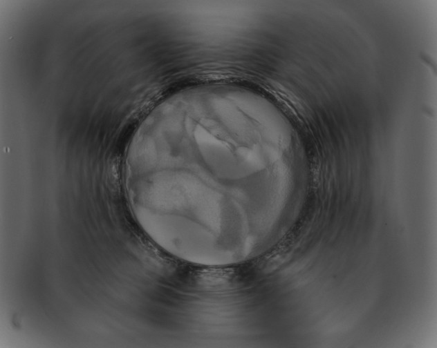 X0000091910373200710031023