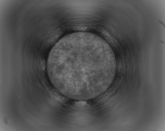 X0000091910374200710031023