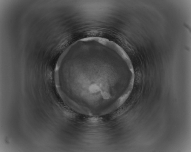 X0000091910375200710031023