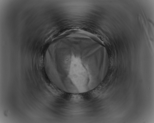 X0000091910376200710031023