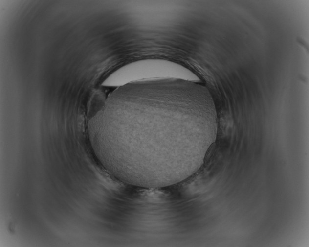 X0000091910379200710031023