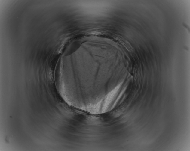 X0000091910380200710031023