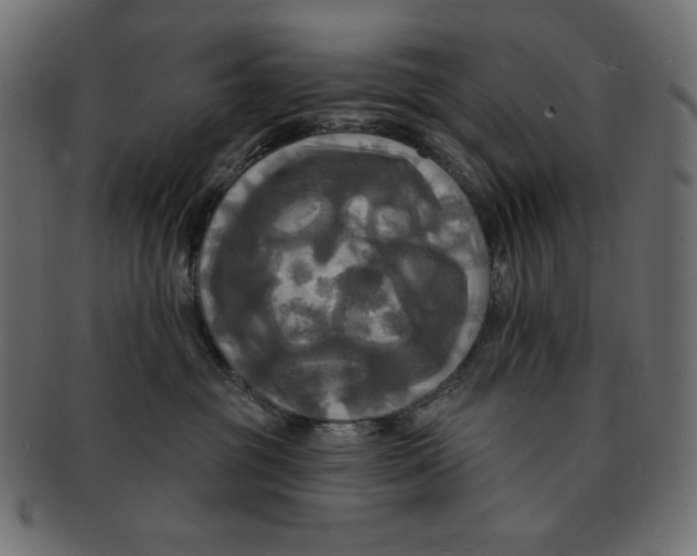 X0000091910381200710031023