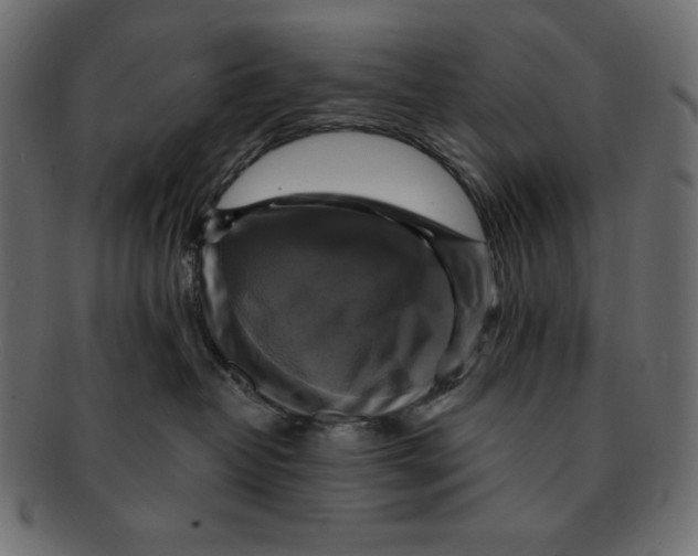 X0000091910382200710031023