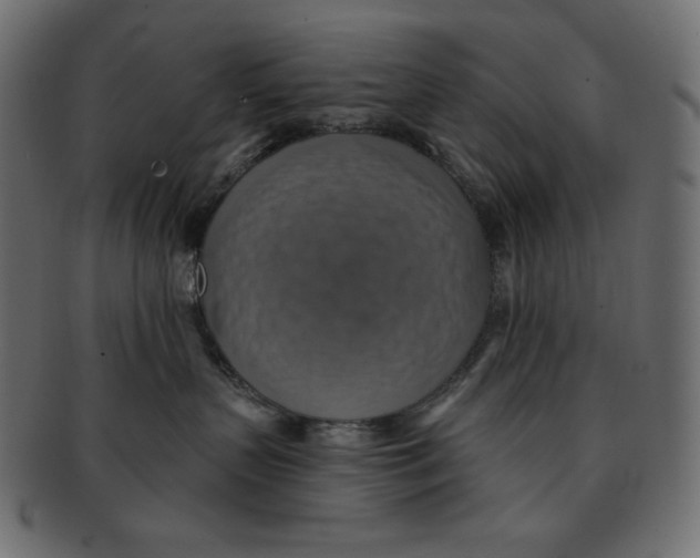 X0000091910383200710031023