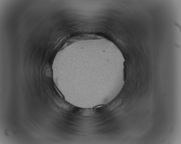 X0000091910384200710031024