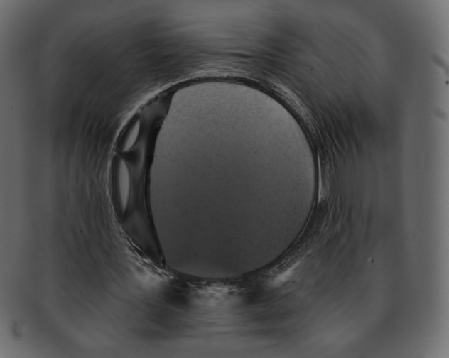 X0000091910387200710031023