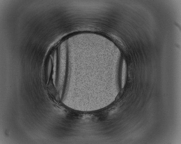 X0000091910388200710031023