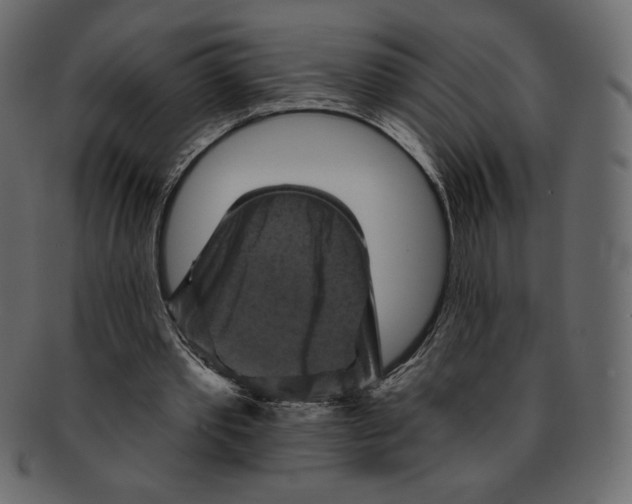 X0000091910389200710031023