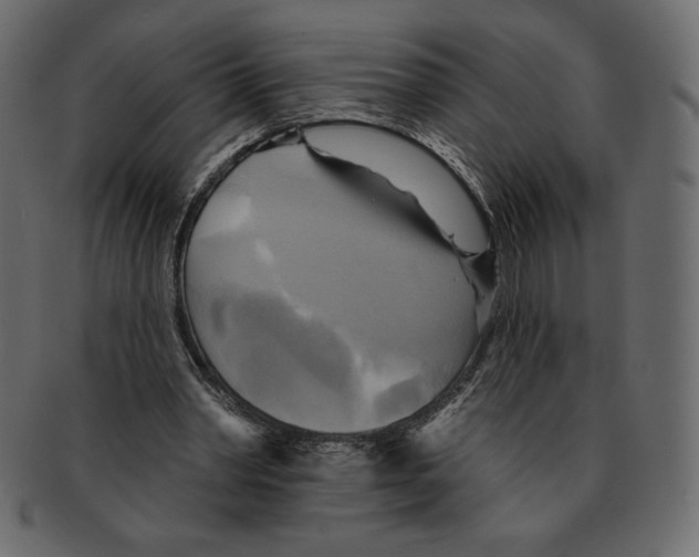 X0000091910390200710031023