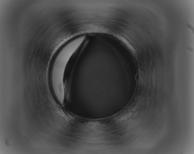 X0000091910391200710031023