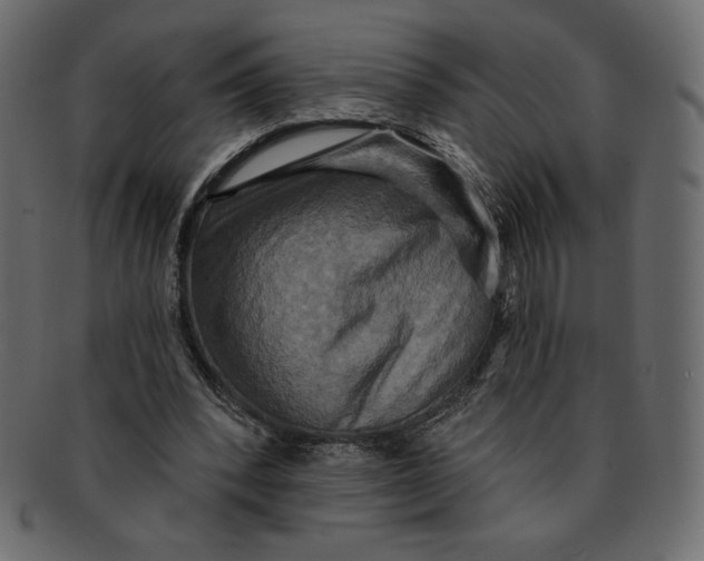 X0000091910392200710031023