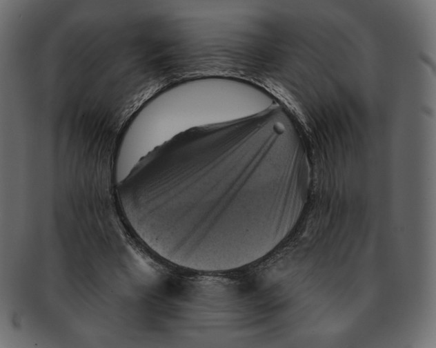 X0000091910393200710031023