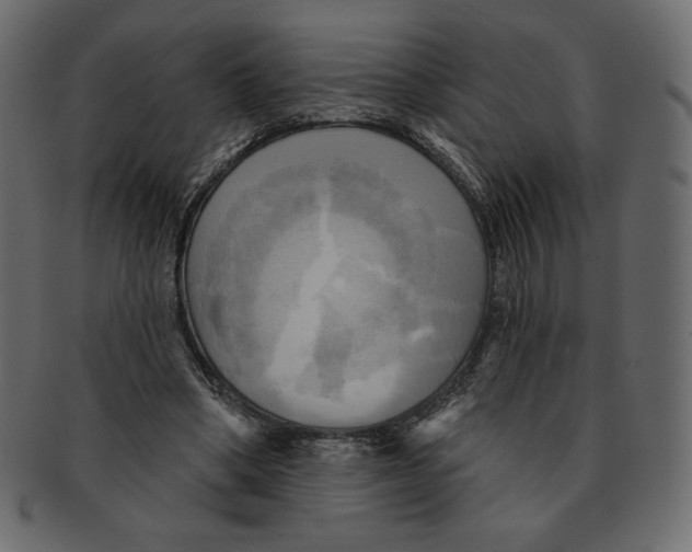 X0000091910394200710031023