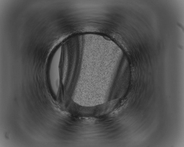 X0000091910395200710031023