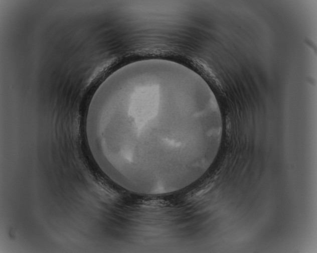 X0000091910396200710031023