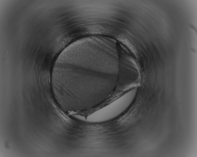 X0000091910397200710031023