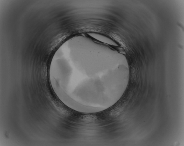 X0000091910398200710031023