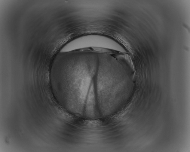 X0000091910401200710031023