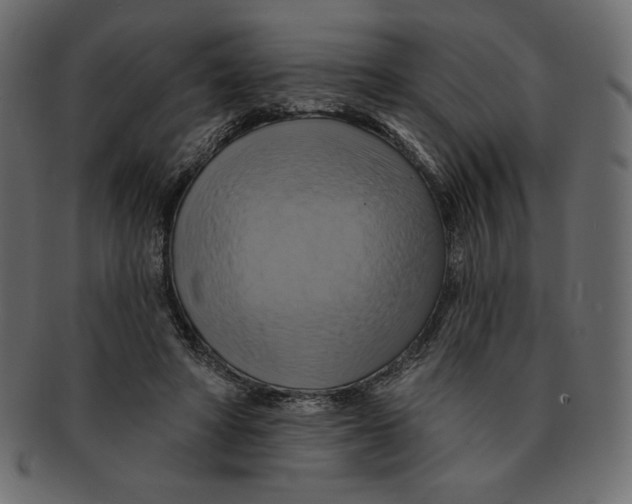 X0000091910402200710031023