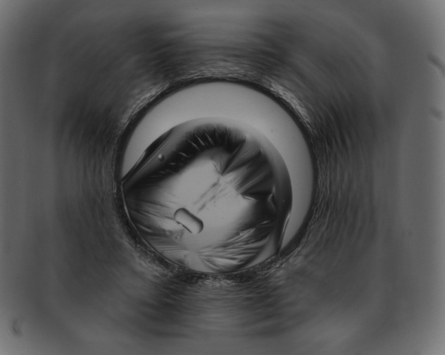 X0000091910403200710031023