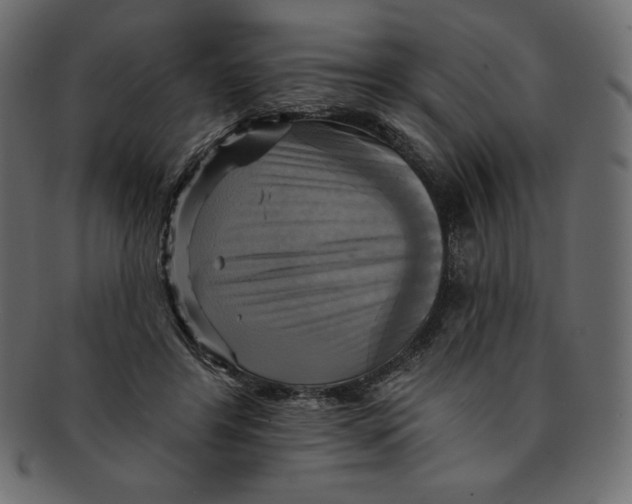 X0000091910404200710031023