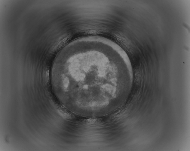 X0000091910406200710031023