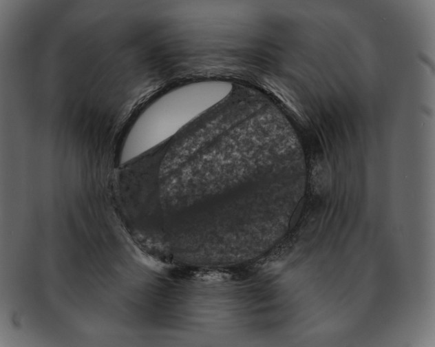 X0000091910407200710031023